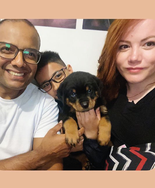 Venda de Filhotes de Cachorro em São Paulo - Filhotes com Excelente Temperamento