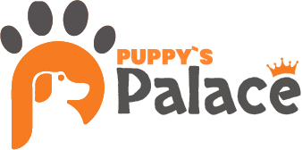 Logo Palace Filhotes - Venda de Filhotes de Cachorro em São Paulo - Filhotes com Excelente Temperamento