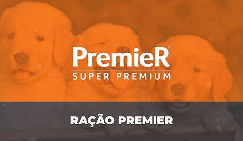 Venda de Filhotes de Cachorro em São Paulo - Filhotes com Excelente Temperamento