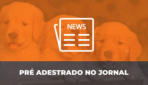 Venda de Filhotes de Cachorro em São Paulo - Filhotes com Excelente Temperamento