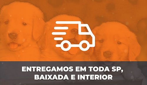 Venda de Filhotes de Cachorro em São Paulo - Filhotes com Excelente Temperamento